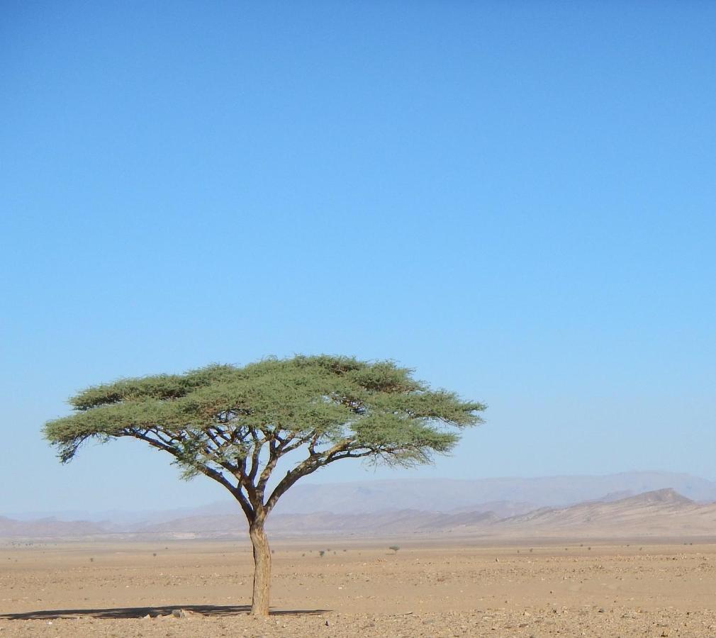 Paradis Touareg Загора Екстериор снимка